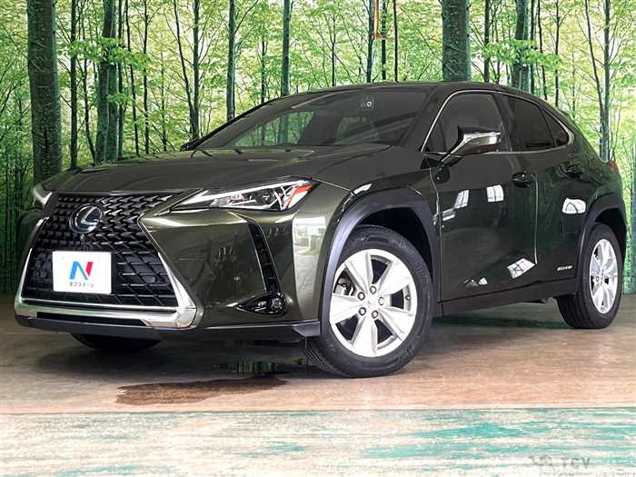 2020 Lexus Other