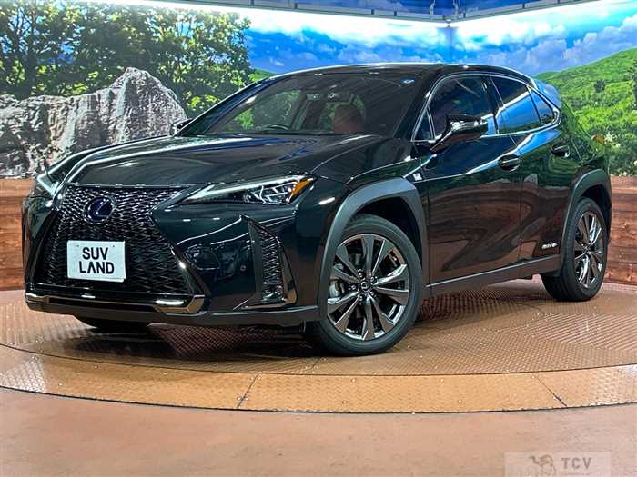 2021 Lexus Other