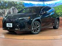 2021 Lexus Other
