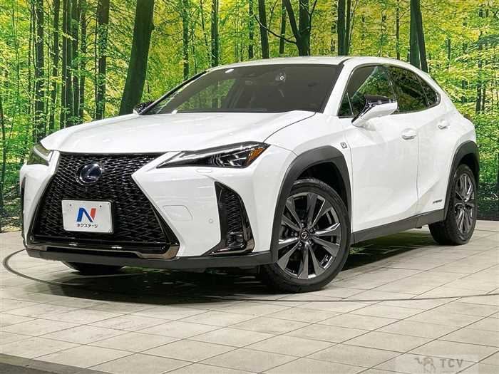 2021 Lexus Other