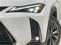 2021 Lexus Other