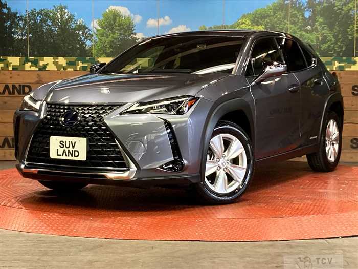 2021 Lexus Other