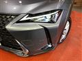 2021 Lexus Other