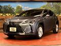 2021 Lexus Other