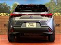 2021 Lexus Other