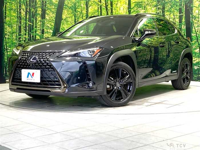 2021 Lexus Other