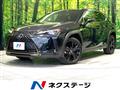 2021 Lexus Other