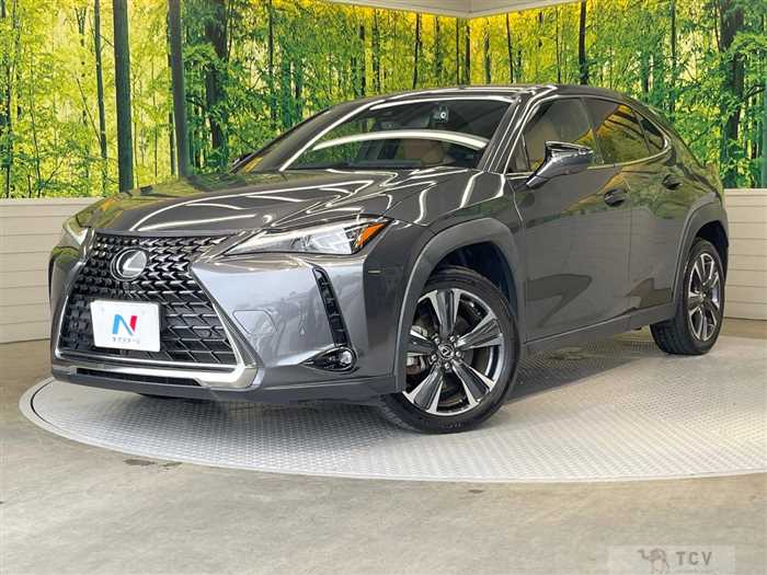 2023 Lexus Other