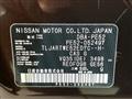 2015 Nissan Elgrand