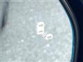 2022 Honda Step WGN