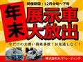 2019 Isuzu Isuzu Others