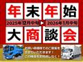 2019 Isuzu Isuzu Others
