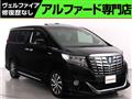 2016 Toyota Alphard G