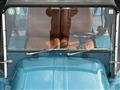 1980 Moke Moke Others