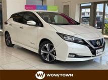 2020 Nissan Leaf