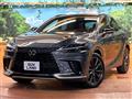 2025 Lexus RX
