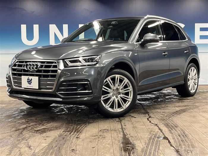 2019 Audi Q5