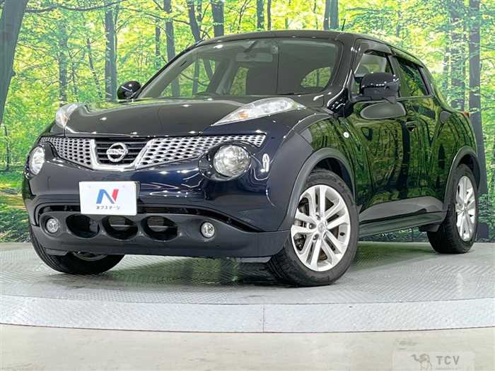 2011 Nissan Juke