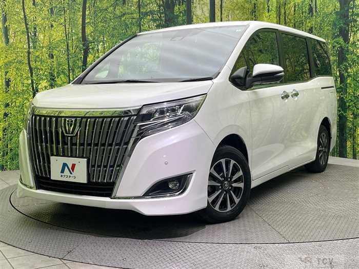 2018 Toyota Esquire