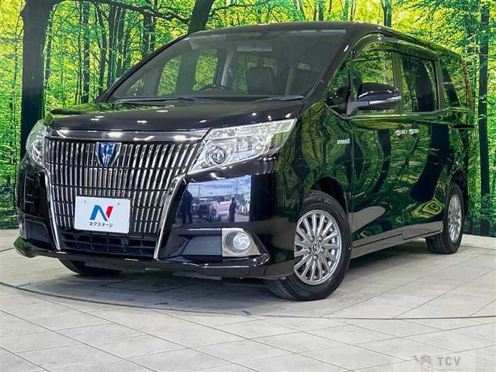 2014 Toyota Esquire