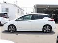 2018 Nissan Nissan Others