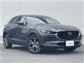 2022 Mazda CX-3