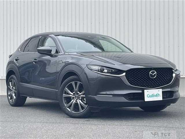 2022 Mazda CX-3