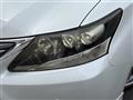 2013 Lexus HS
