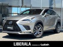 2021 Lexus NX