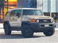 2011 Toyota FJ Cruiser