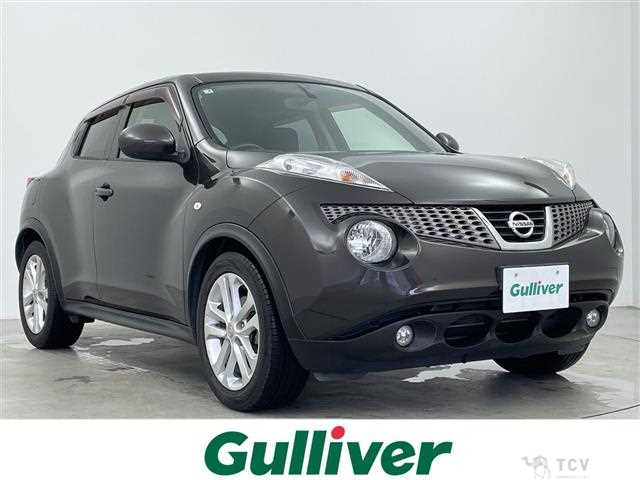2011 Nissan Juke