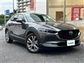 2022 Mazda CX-3