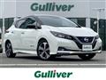 2021 Nissan Leaf