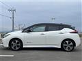 2021 Nissan Leaf