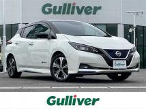 2021 Nissan Leaf