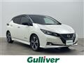 2018 Nissan Leaf