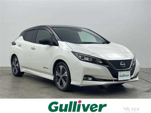 2018 Nissan Leaf