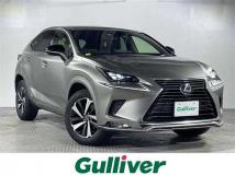 2021 Lexus NX