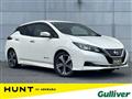 2019 Nissan Leaf