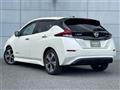 2019 Nissan Leaf