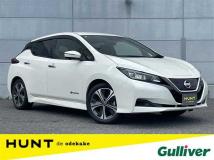 2019 Nissan Leaf