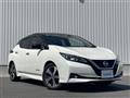 2019 Nissan Leaf