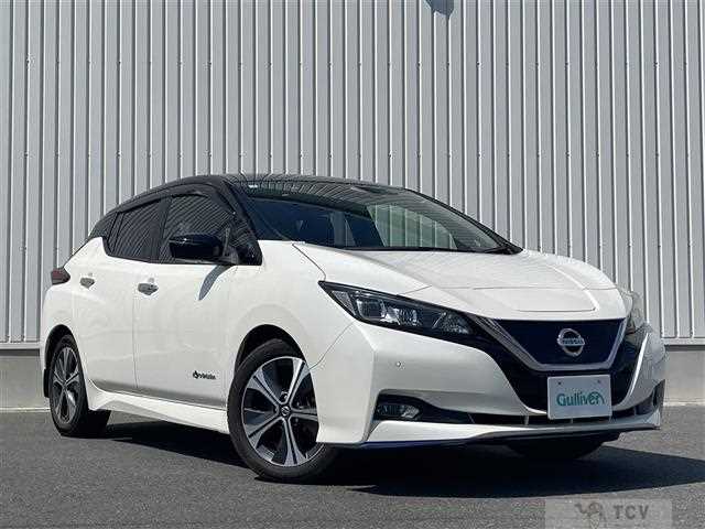 2019 Nissan Leaf