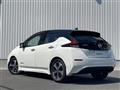 2019 Nissan Leaf