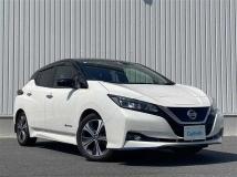 2019 Nissan Leaf