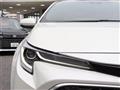 2019 Toyota Corolla Sports