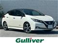 2019 Nissan Leaf