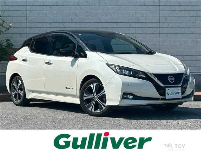 2019 Nissan Leaf