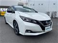 2017 Nissan Leaf