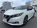 2017 Nissan Leaf
